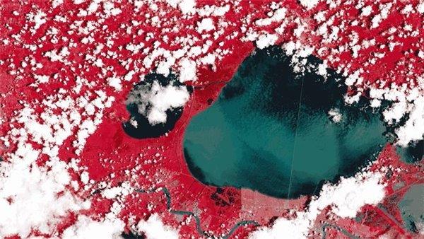 IBM发布地理空间基础模型 帮助人类追踪并适应地理环境变化